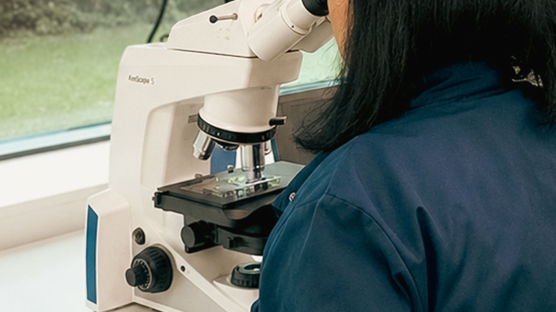Person looking through a microscope