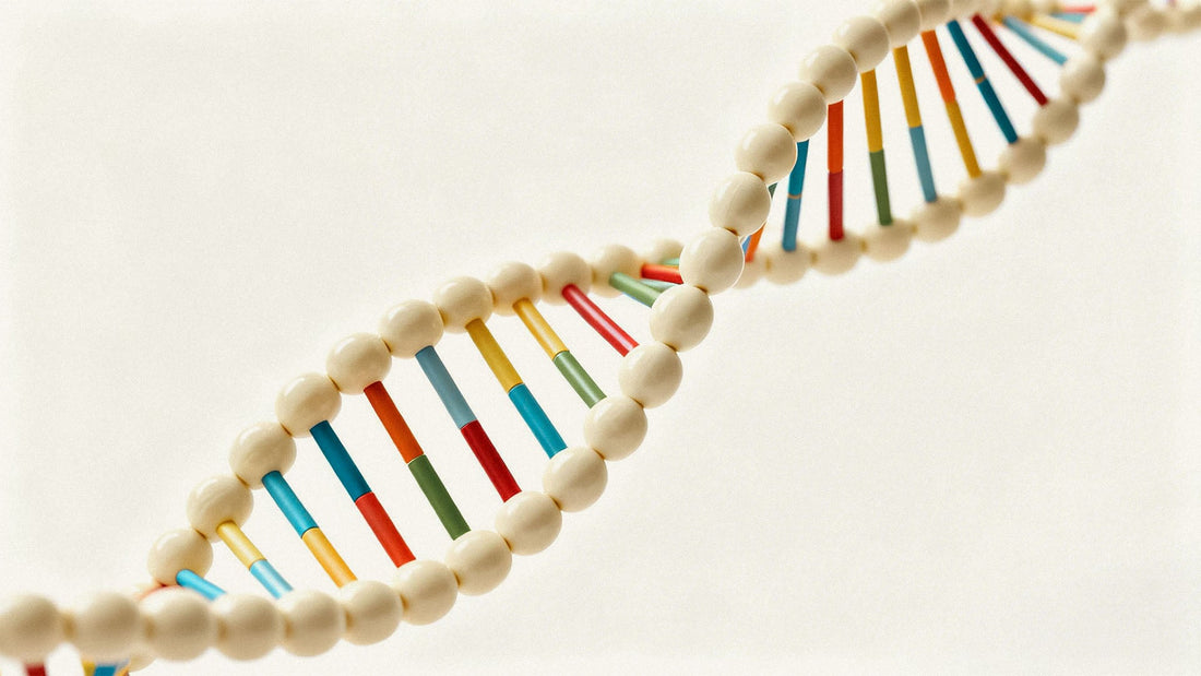 Sperm DNA Fragmentation: What It Is and Whether You Need the Test