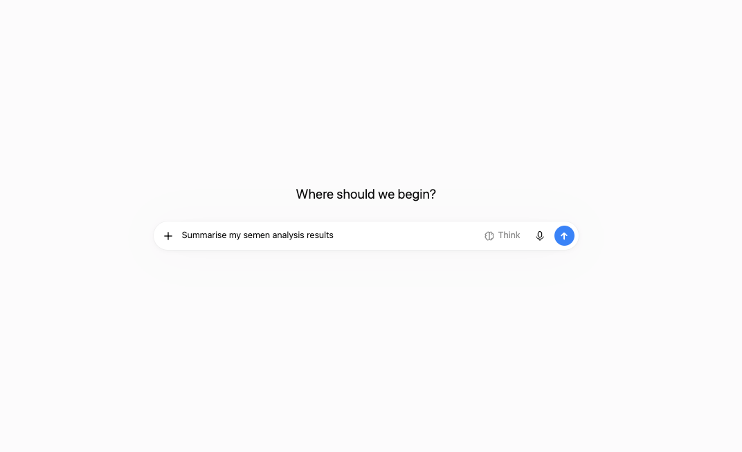 ChatGPT search page