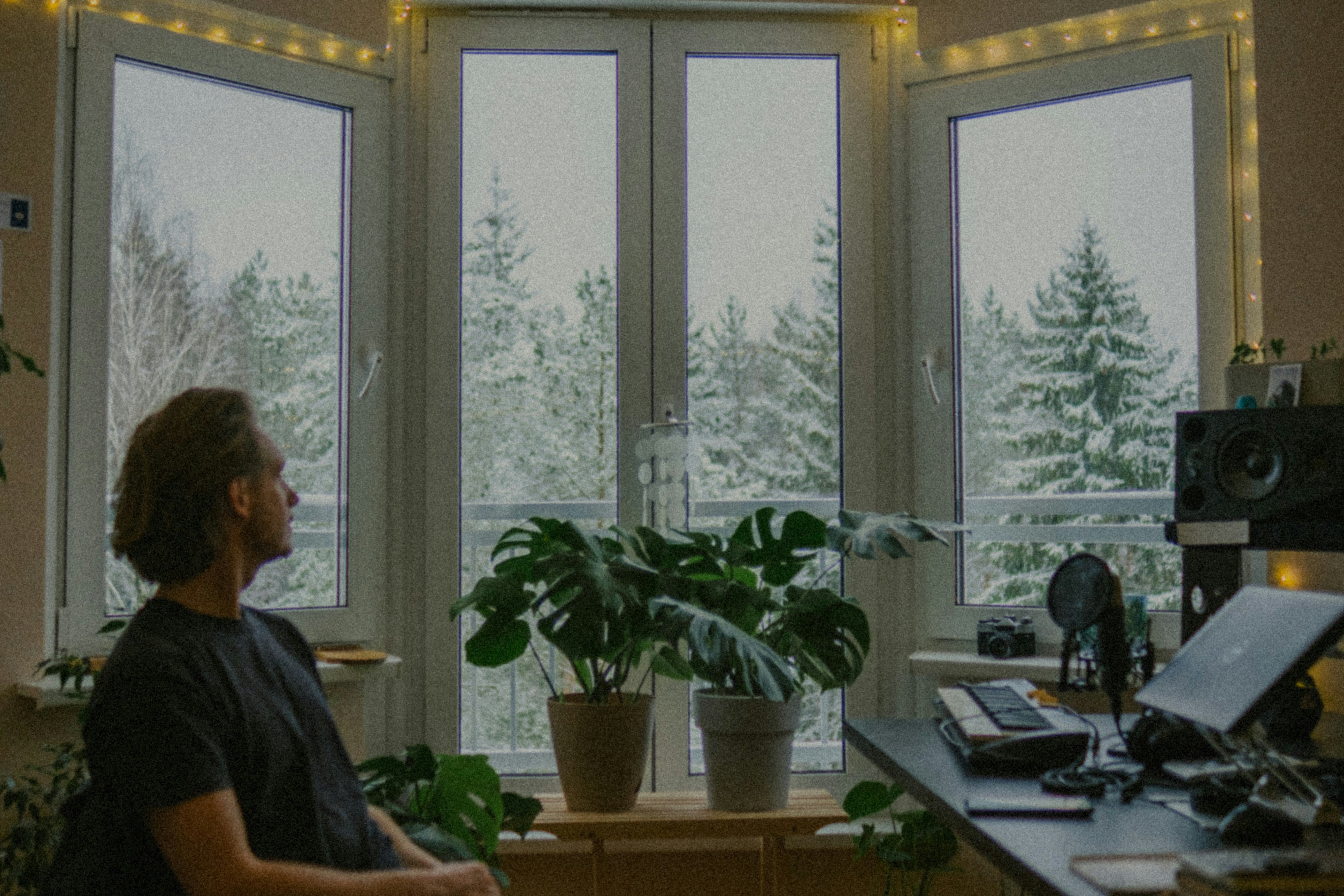 Person sitting by a window with plants and a desk in the foreground